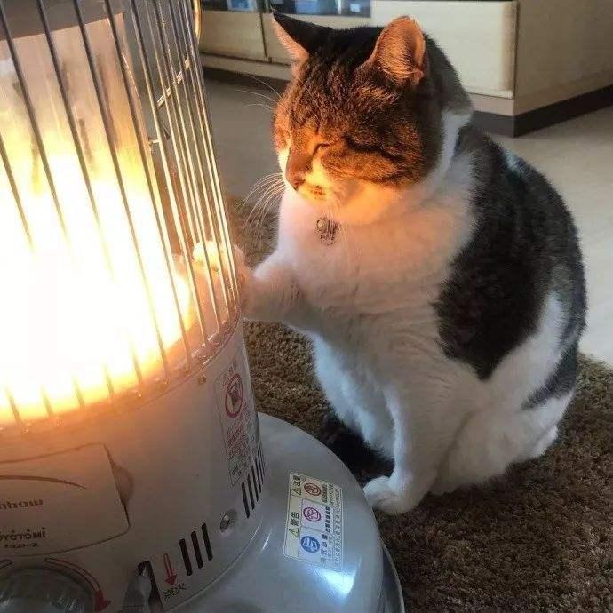 Ϊʲô˵������ů���²�����22��������ȫ������������(ͼ5)