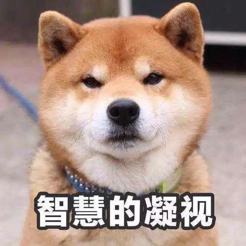 Ϊʲô˵������ů���²�����22��������ȫ������������(ͼ6)